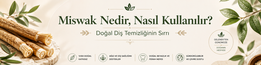 Miswak Nedir, Nasıl Kullanılır? Doğal Diş Temizliğinin Sırrı