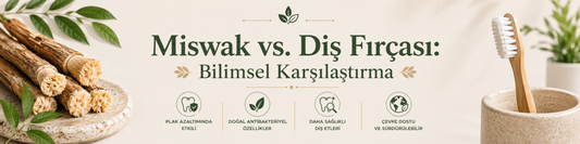 Miswak vs. Diş Fırçası: Bilimsel Karşılaştırma