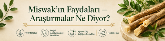 Misvak'ın Faydaları — Araştırmalar Ne Diyor?