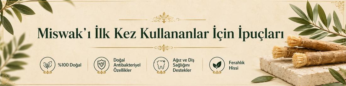 Misvak'ı İlk Kez Kullananlar İçin İpuçları