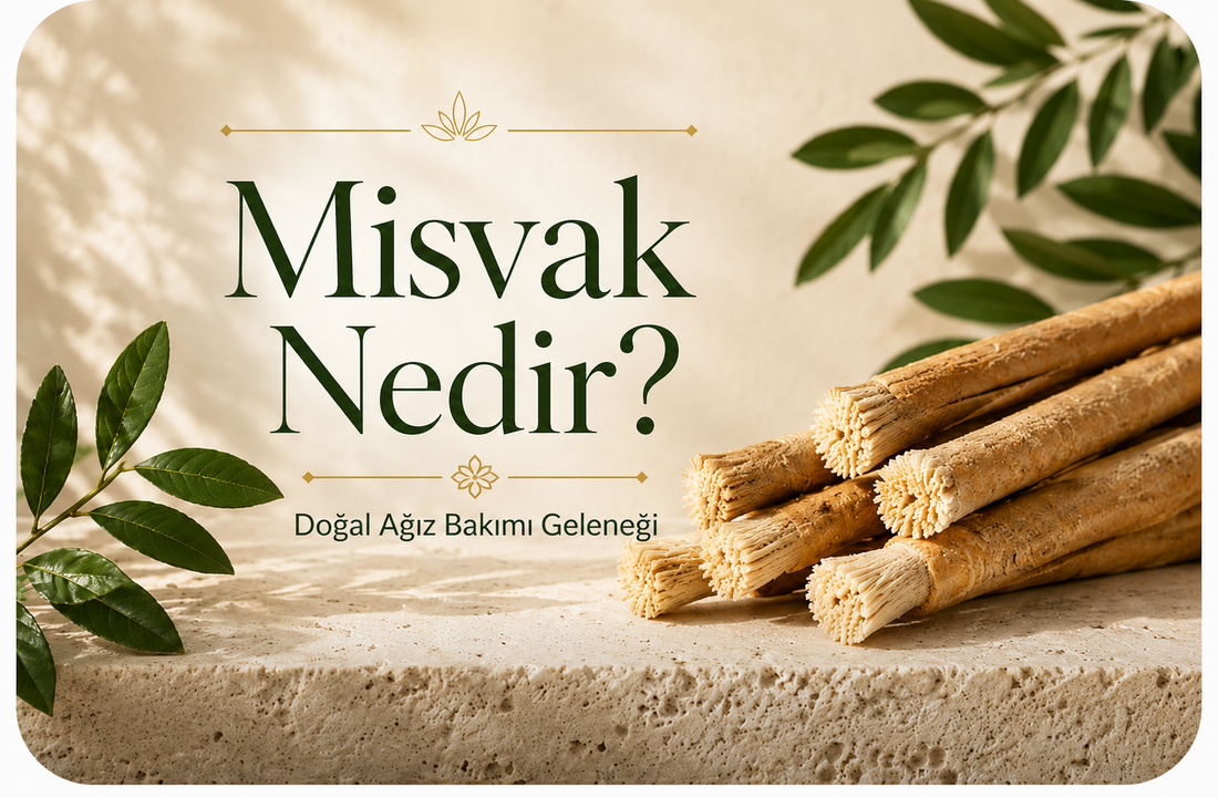 Misvak'ın 7000 Yıllık Tarihi: Dünyanın En Eski Diş Fırçası