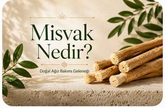 Misvak'ın 7000 Yıllık Tarihi: Dünyanın En Eski Diş Fırçası