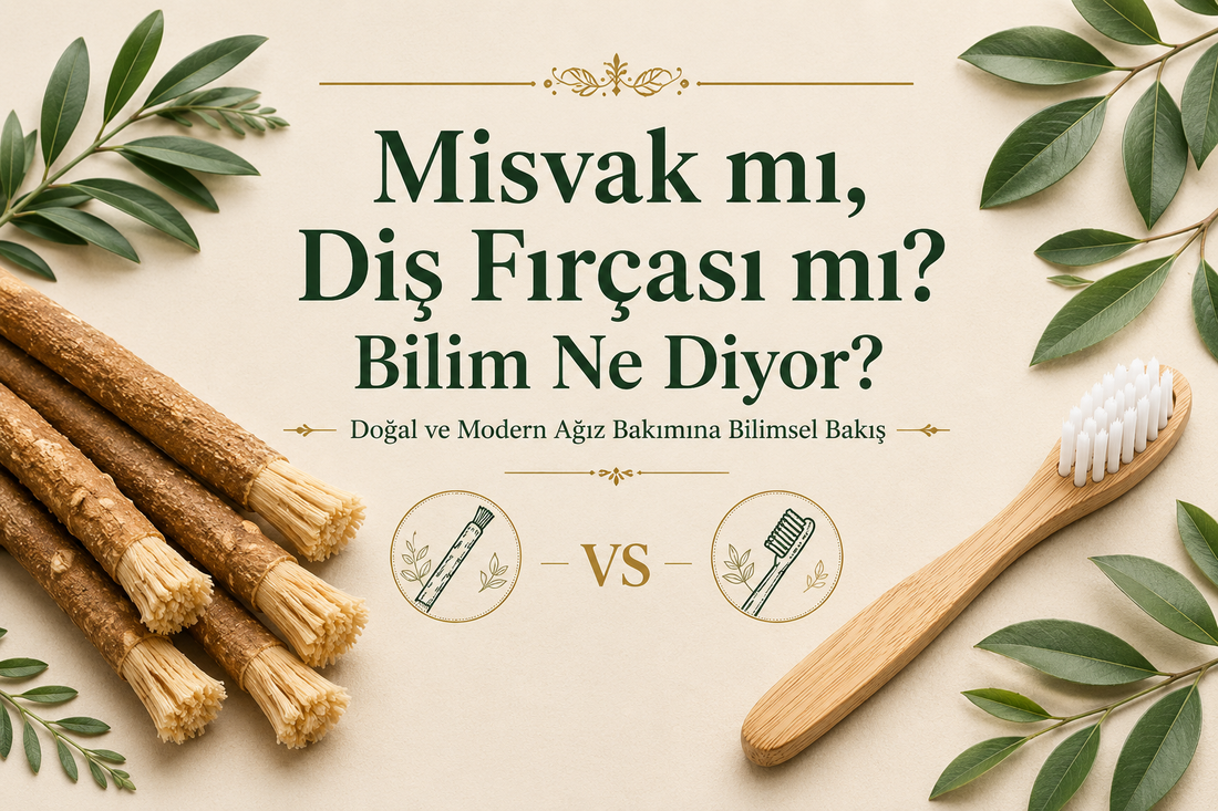 Misvak mı, Diş Fırçası mı? Bilim Ne Diyor?