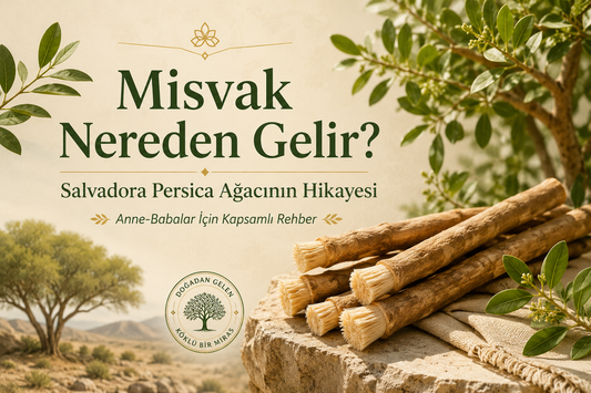 Misvak Nereden Gelir? Salvadora Persica Ağacının Hikayesi