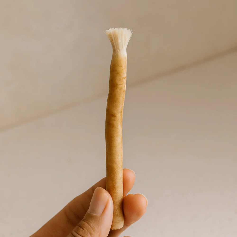 Vakumlu Doğal Miswak Diş Fırçası